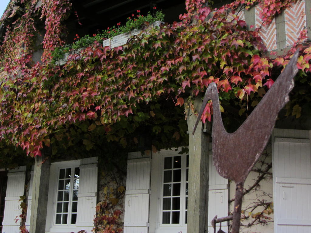 Les Vieux Guays Bed and Breakfast Cerdon  Εξωτερικό φωτογραφία